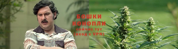 гидропоника Пересвет