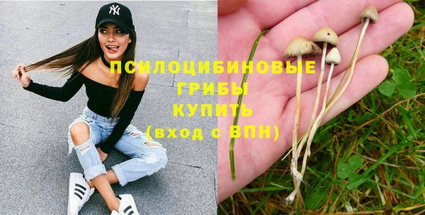соль курить ск Пестово